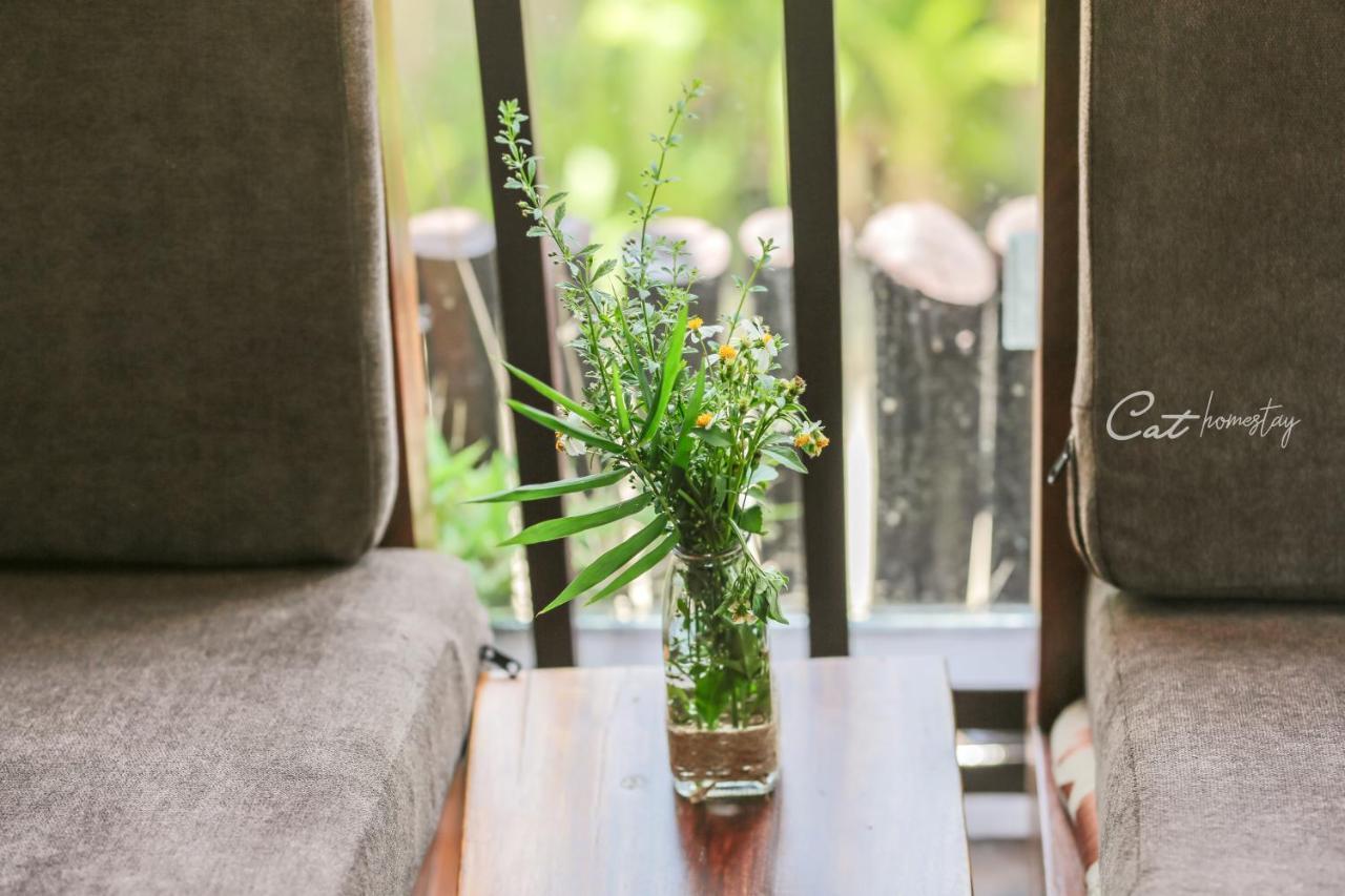 Cat Homestay Hue Buitenkant foto