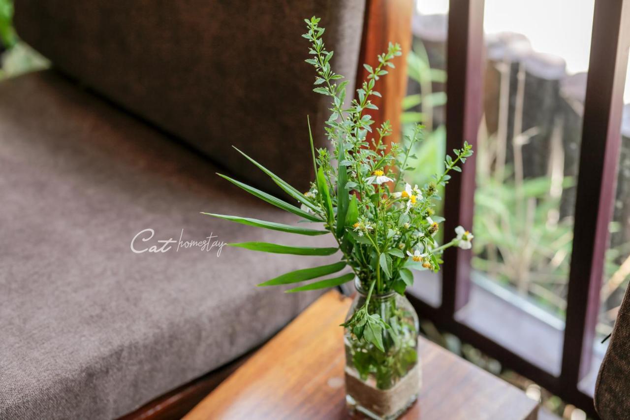 Cat Homestay Hue Buitenkant foto