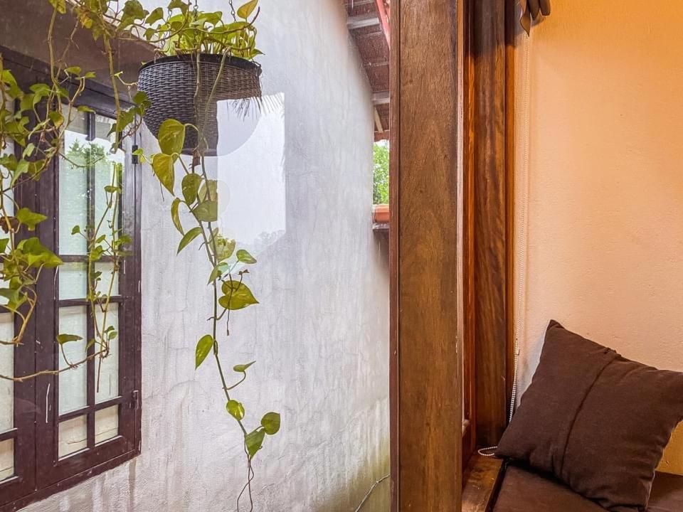 Cat Homestay Hue Buitenkant foto